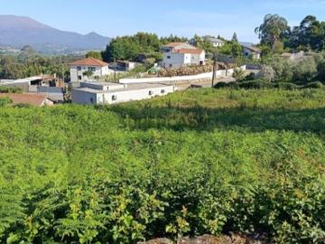 Terreno em Geraz do Lima 2508 m²