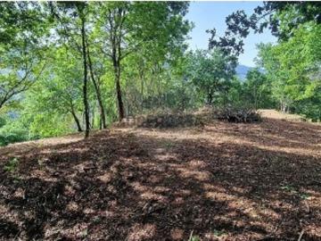 Terreno em Gondoriz