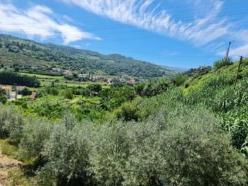 Terreno em Loivos da Ribeira e Tresouras