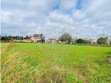 Terreno em Loureiro