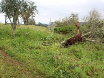 Terreno em Pussos São Pedro