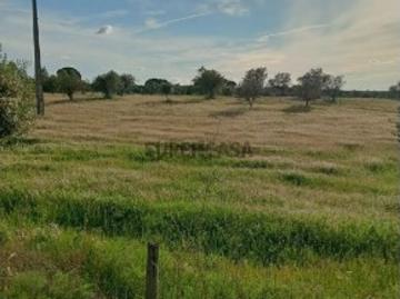 Terreno em Pavia