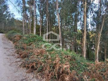 Terreno em Pousada de Saramagos