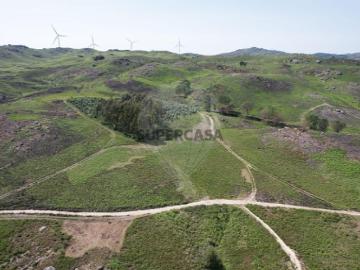 Terreno em Refojos de Basto