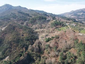 Terreno em Refojos de Basto