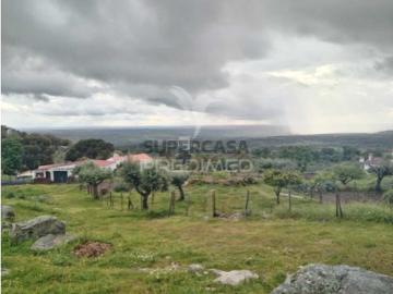 Terreno em Ribeira de Nisa e Carreiras