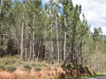 Terreno em Rio de Couros e Casal dos Bernardos de 3487,00 m²