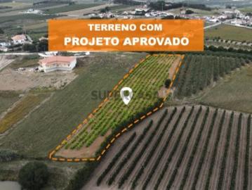 Terreno em Roliça