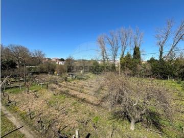Terreno em Santa Maria Maior