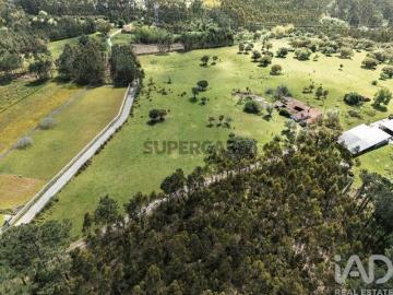 Terreno em Souto da Carpalhosa e Ortigosa de 161861,00 m²
