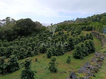 Terreno em Urzelina São Mateus