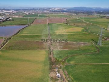 Terreno em Vila Nova da Rainha