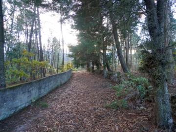 Terreno em zona de construção para venda, localizado na...