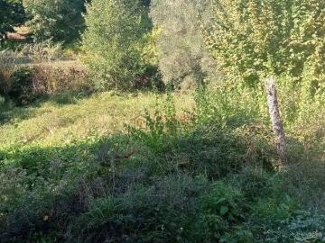 Terreno en Venta en Amoeiro
