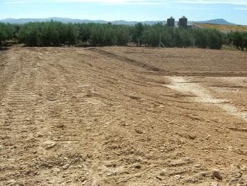 Terreno en venta en Fuente Álamo De Murcia