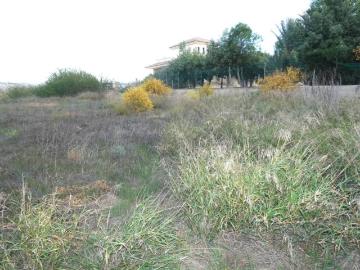 Terreno en Venta en Las Torres de Cotillas