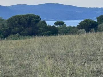 Terreno in vendita a Bracciano RM