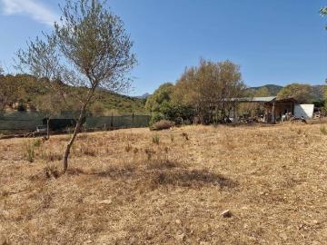 Terreno in vendita a San Teodoro OT