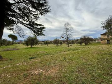 Terreno in vendita di 50000 m² in Via Campolato