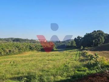 Terreno / Lote para Venda em Araucária/PR Estação
