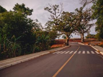 Terreno / Lote para Venda em Pareci Novo/RS Centro
