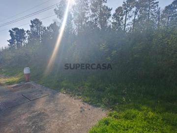 Terreno para construção MANGUALDE |LEILÃO ELETRÓNICO|...