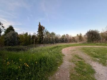 Terreno para construção na Forcada Aguada de Cima