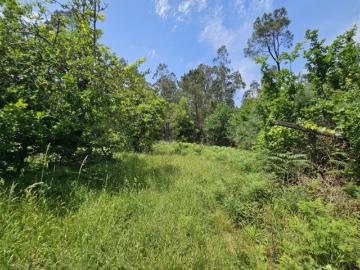 Terreno para construção Orbacém