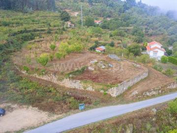 Terreno para Construção / Cinfães, Santiago de Piães