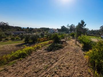 Terreno para construção, com poço e árvores de fruto Em...
