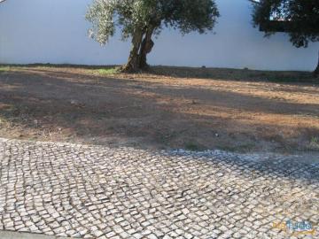 TERRENO PARA CONSTRUÇÃO DE MORADIA. | 26080472177