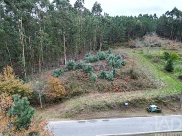 Terreno para construção em Cornes