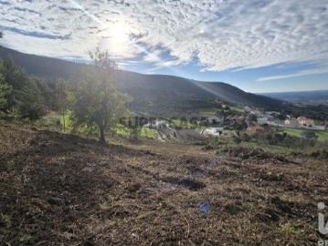 Terreno para construção em Lamas e Cercal