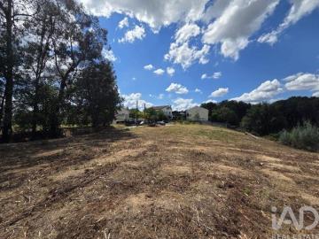 Terreno para construção em Santa Comba Dão e Couto do...