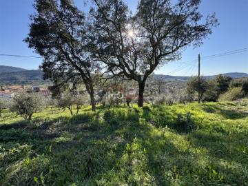 Terreno Para Construção Venda em São Salvador da...