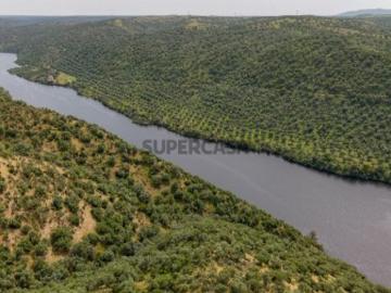 TERRENO. Parque Natural do Tejo Internacional