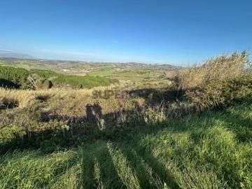 Terreno rústico com 15.300 m² entre Ribaldeira e Furadouro