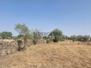 Terreno rustico com 3 poços e barracão junto à zona...