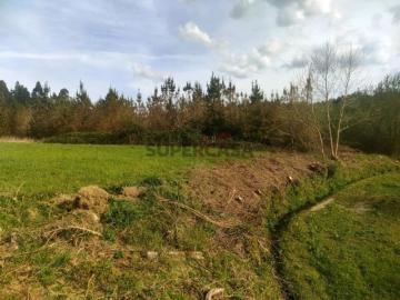 Terreno Rústico com 7.900 m2 em Seidões Fafe