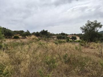 Terreno Rústico com 8.600 m² em Pedreiras, São...