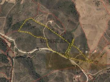 Terreno Rústico com 9,1 Hectares em Santana da Serra...