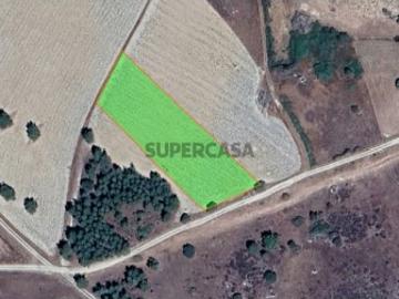 Terreno rústico a 800m da EN332, Junça, Almeida