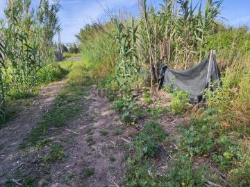 Terreno Rustico Agrícola de 2560m2 localização...