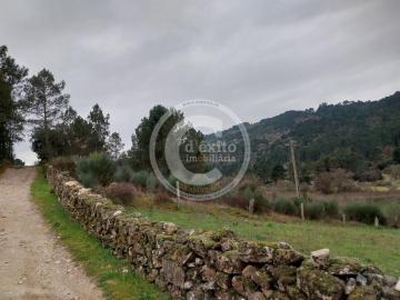 Terreno Rústico em Oura Chaves