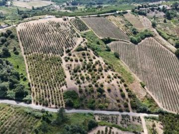 QUINTA VALE DAS COVAS