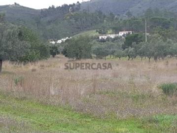 Terreno rustico plano em Salir Loulé, Algarve