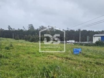 Terreno Rústico T0 Venda em Carriço,Pombal