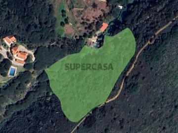 Terreno Rústico Venda em Colares,Sintra