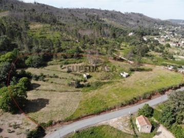Terreno Rústico Venda em Castelo de Penalva,Penalva do...