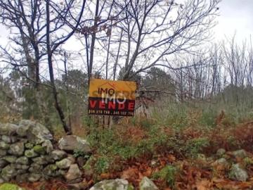Terreno Rústico Venda em Santa Maria de Marvão,Marvão